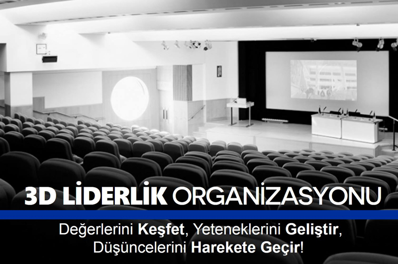 3d liderlik